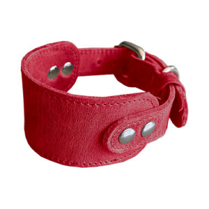 Luxer Collar