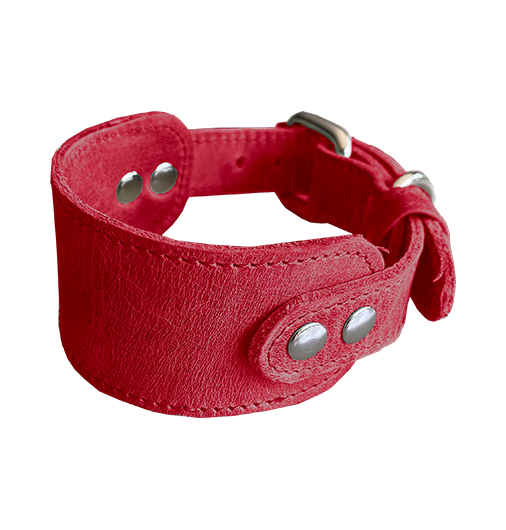 Luxer Collar